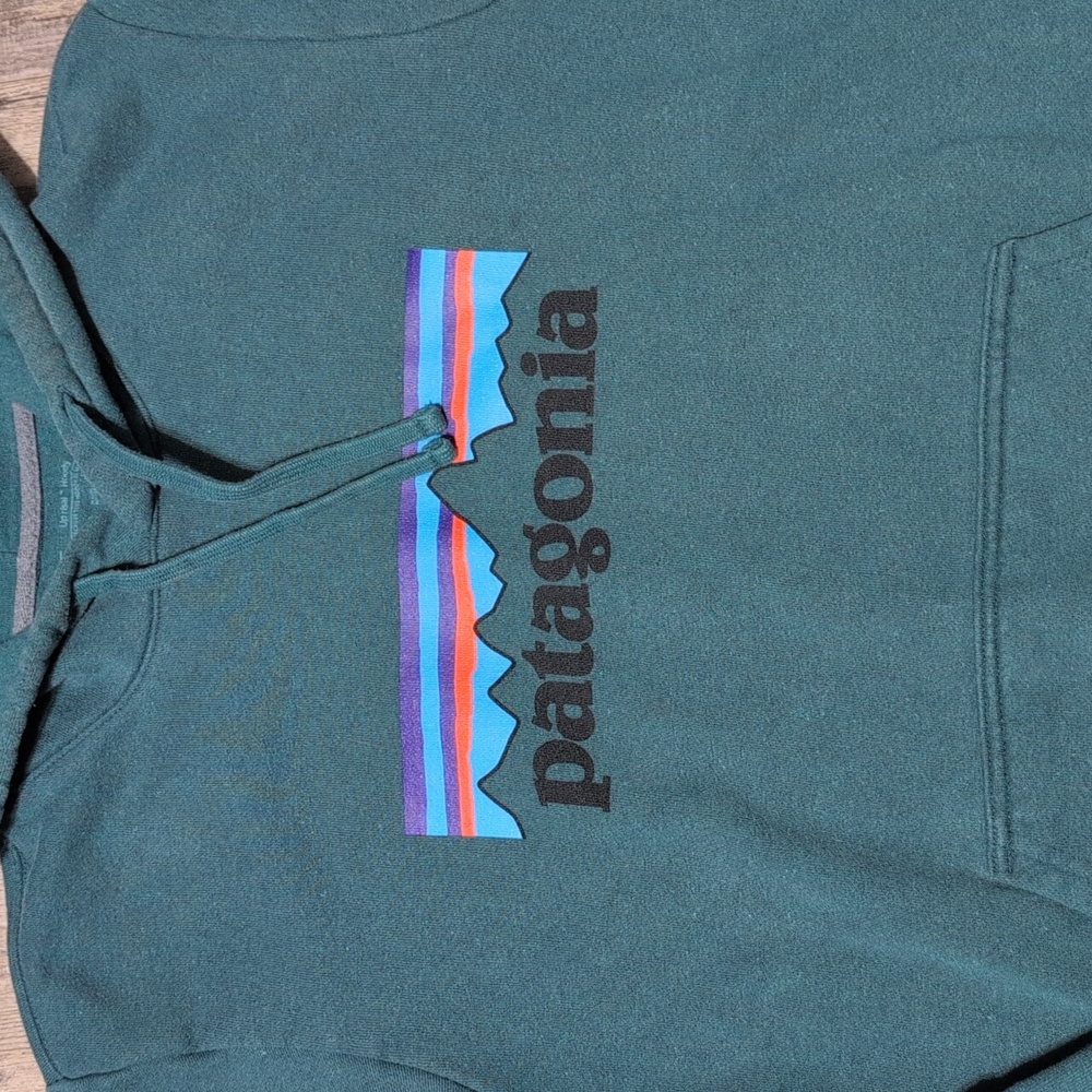 Patagonia Men's Borealis Green Hoodie - Picture 2 of 9